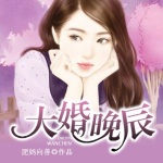 大婚晚辰