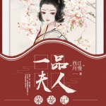 一品夫人荣宠记