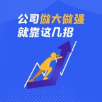 公司做大做强就靠这几招