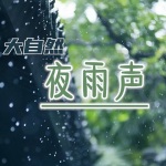 大自然下雨声|5分钟入眠 帮助解压