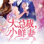 大总裁，小鲜妻