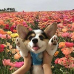 我爱热歌，咻咪~