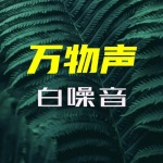 小城慢声丨白噪音