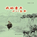 我的童年十八条命