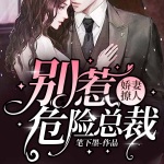娇妻撩人：别惹危险总裁