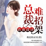 首席设计：总裁难招架