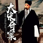 大宋奇案
