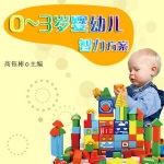 0-3岁婴幼儿智力方案