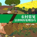 农村常见法律纠纷处理技巧