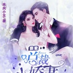 霸爱总裁小娇妻