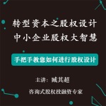 《中小企业股权大智慧》