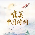 《最美诗词100首》
