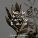 Powerful Melodies | Ultimate Spa Relaxation