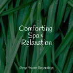 Comforting Spa & Relaxation