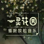 传统养生｜禅 · 道 古风琴曲