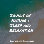 Sounds of Nature | Sleep and Relaxation
