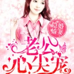 隐婚娇妻：老公，心尖宠