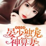 晏少独宠神算妻