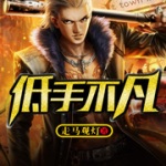 低手不凡