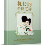 机长的全能宅妻