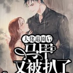 大佬退圈后马甲又被扒了