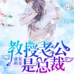 盛宠萌妻：教授老公是总裁