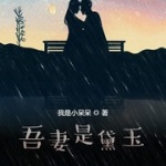 吾妻是黛玉