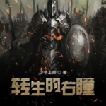 转生的右瞳