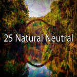25自然中性