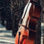 音乐贵妇-大提琴