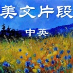 美文片段【中英】