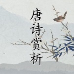 《唐诗赏析》 品味经典唐诗 了解诗中的故事