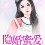 隐婚蜜爱（言情）