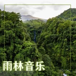 雨林音乐 – 自然安眠曲的最佳音乐合集，深度睡眠的舒缓音景