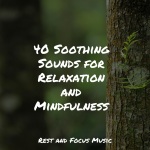 40 Soothing Sounds for Relaxation and Mindfulness