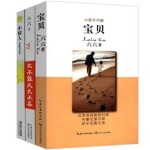 中式伦理长篇小说《宝贝》（六六作品）