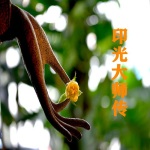 印光大师传
