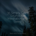 35 Simply Calm Sounds for Meditation and Sleep