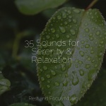 35 Sounds for Serenity & Relaxation