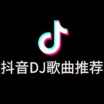 情字最大 (DJ版)