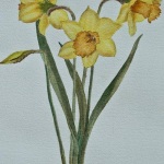 他对我说我认识你