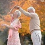 治愈系故事