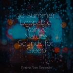 30 Summer Loopable Rain & Nature Sounds for Sleep
