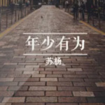 年少有为