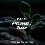 Calm Melodies | Sleep