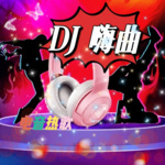 DJ嗨歌（电音舞曲）