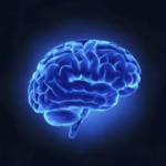 3D脑波音乐|减压/助眠/学习