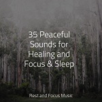 35 Peaceful Sounds for Healing and Focus & Sleep