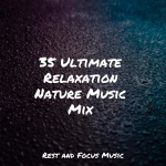 35 Ultimate Relaxation Nature Music Mix