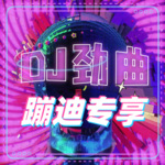 抖音热门DJ推荐榜